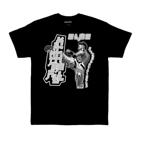 All combat fighter Tee 2